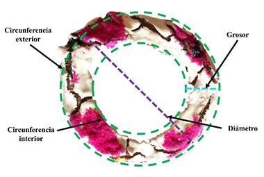 Un collar de flores

Descripción generada automáticamente con confianza media